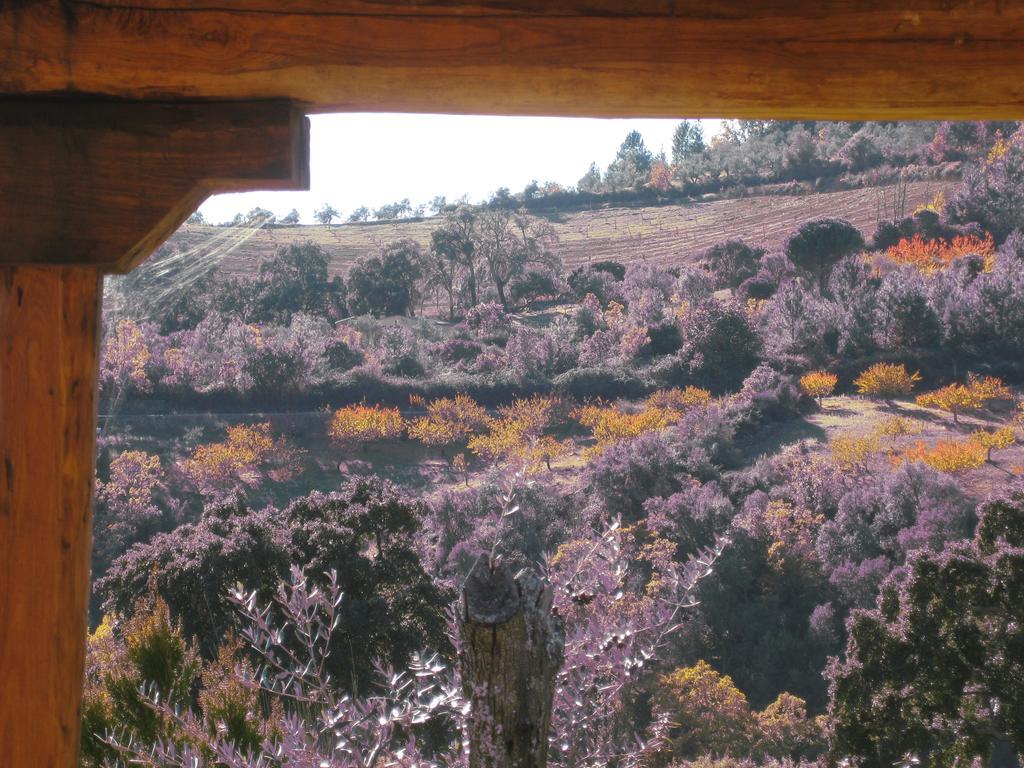 Cañamero Apartamentos Rurales Candela חדר תמונה